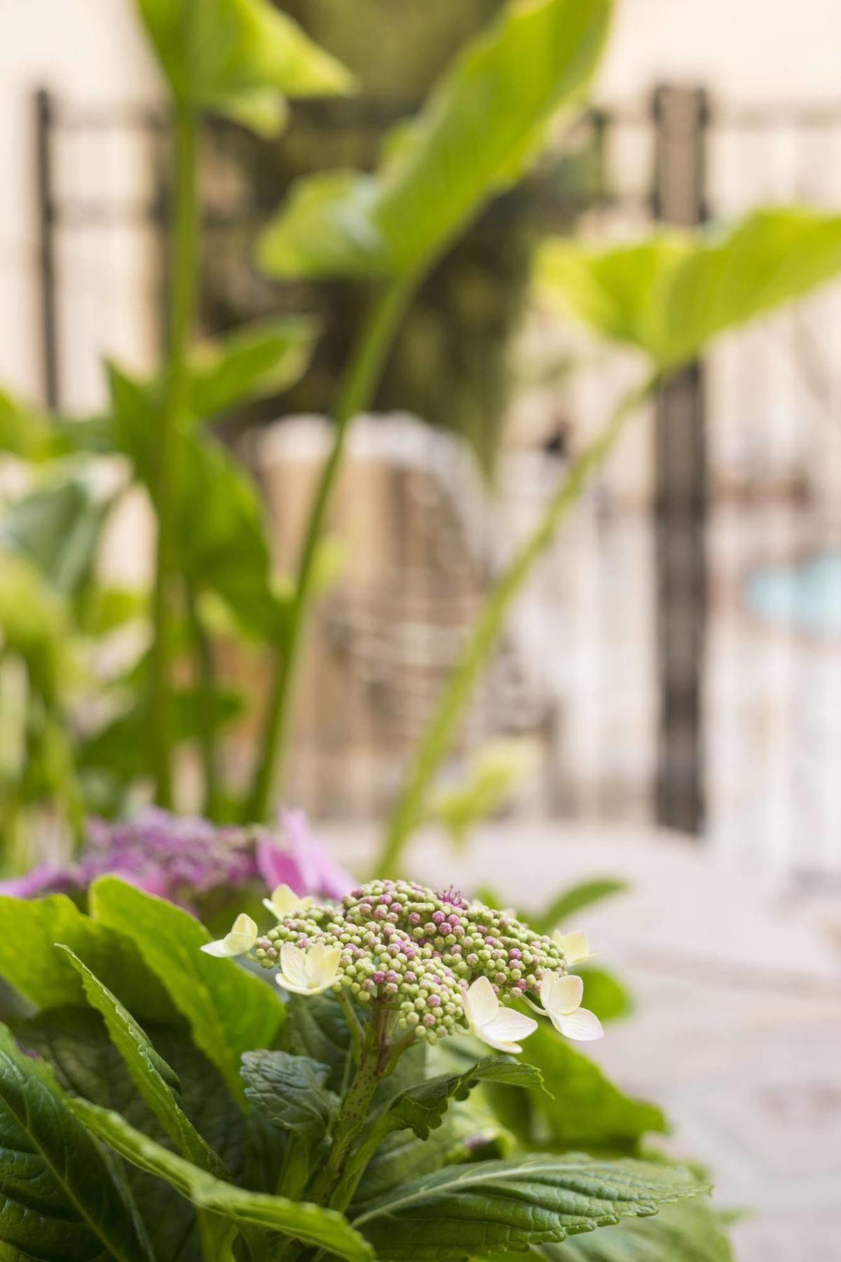 Ayres Hotel Manhattan Beach Hawthorne Exterior photo